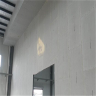 广西宁波ALC板|EPS加气板隔墙与混凝土整浇联接的实验研讨